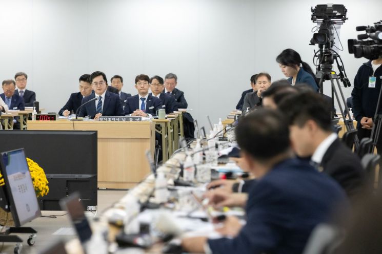 김동연 경기도지사가 17일 국회 행정안전위원회의 경기도에 대한 국정감사에서 의원들의 질의에 답변하고 있다.
