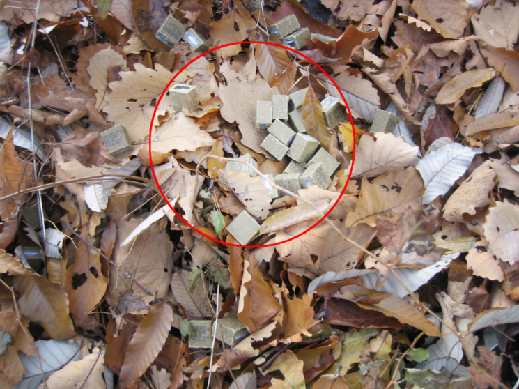 [뉴스속 용어]사람 손 닿으면 안되는 '광견병 미끼 백신'