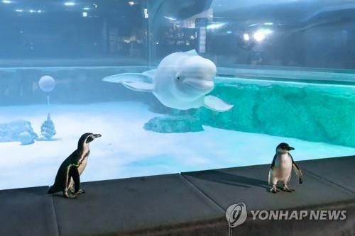 롯데월드서 ‘흰고래 방류 시위’ 활동가들 검찰 송치