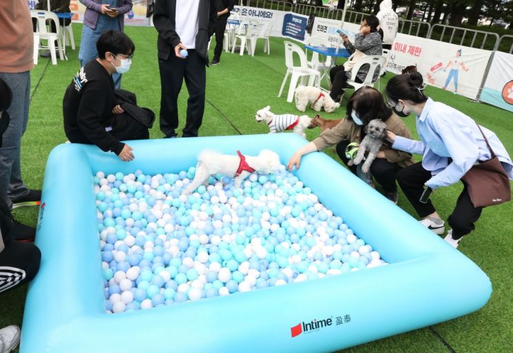 “개팔자가 상팔자?”...반려견에게 세금 쓰는 이유