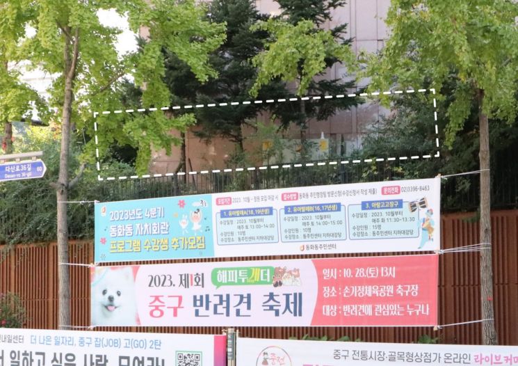 철거 후 사진