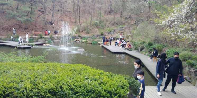 안산 순환형 무장애 자락길에서 시민들이 산책과 숲 체험을 즐기고 있다. 산림청 제공