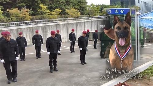 [이미지제공=대전경찰청]