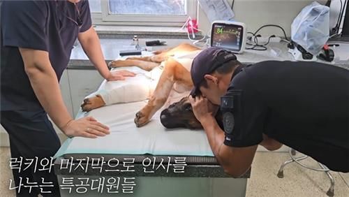 [이미지제공=대전경찰청]