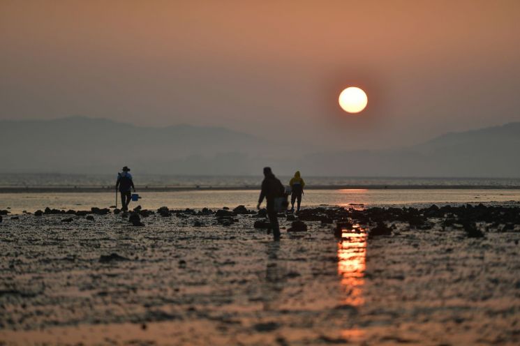 '한국의 갯벌 2단계'·'피란 수도 유산' 세계유산 잠정목록 이름 올려