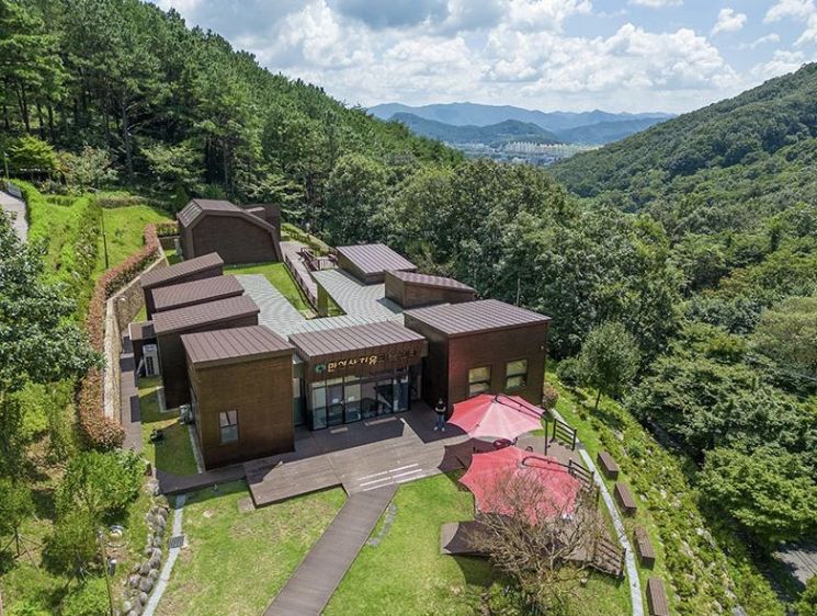 [하루만보 하루천자]산림치유의 모든 것 궁금하다면 "화순으로"