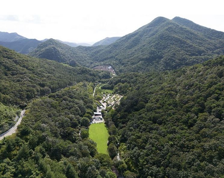 [하루만보 하루천자]산림치유의 모든 것 궁금하다면 "화순으로"