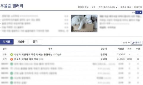 디시인사이드 우울증 갤러리. [사진=디시인사이드]
