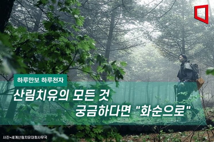 [하루만보 하루천자]산림치유의 모든 것 궁금하다면 "화순으로"