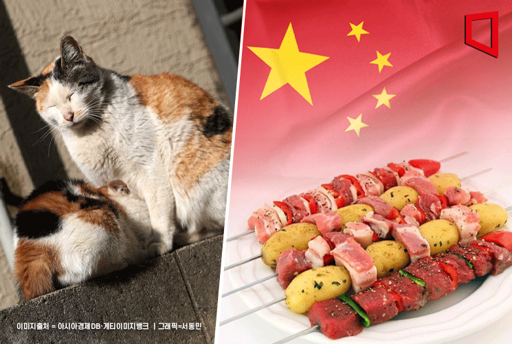 They Said It Was Lamb Skewers, But It Was Cat Meat... Another Food Controversy Erupts in China