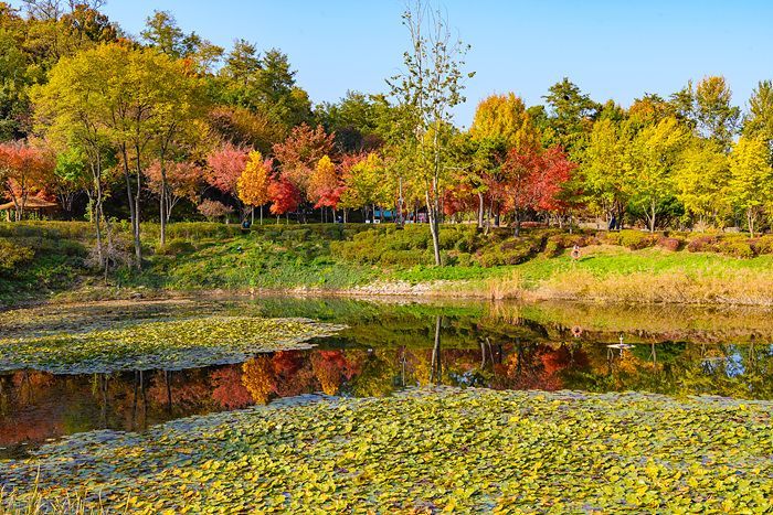 서서울호수공원 산책로