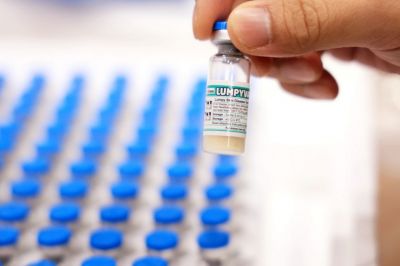 미생물 단계부터 품질 검증한다…정부, '동물용 백신' 종자관리제도 도입