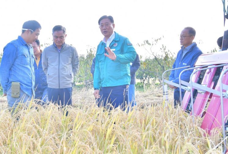 장성군, ‘가루쌀’ 생산 박차… 재배 활성화 노력