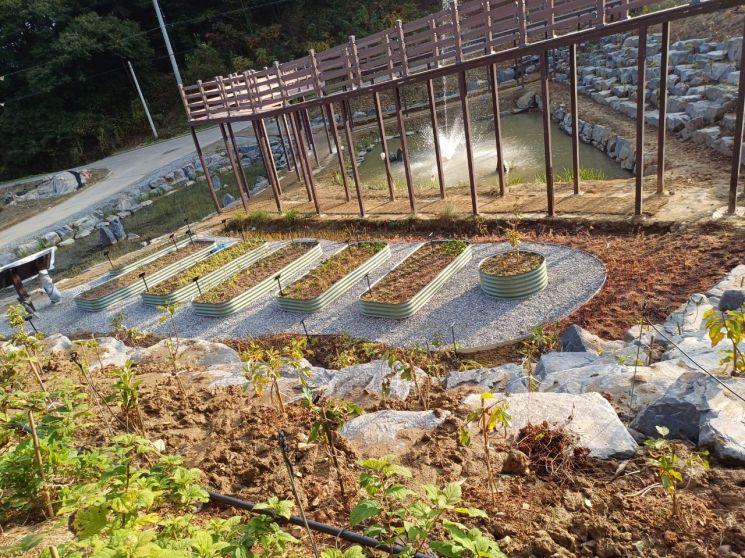 충남 서천군 물버들 생태체험학습센터 내 조성된 멸종위기 식물을 활용한 밀원식물 정원 [사진제공=효성첨단소재]