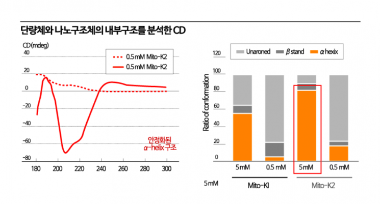 [과학을읽다]노화 세포만 골라 제거‥노인성 질환 치료 새 길 열린다