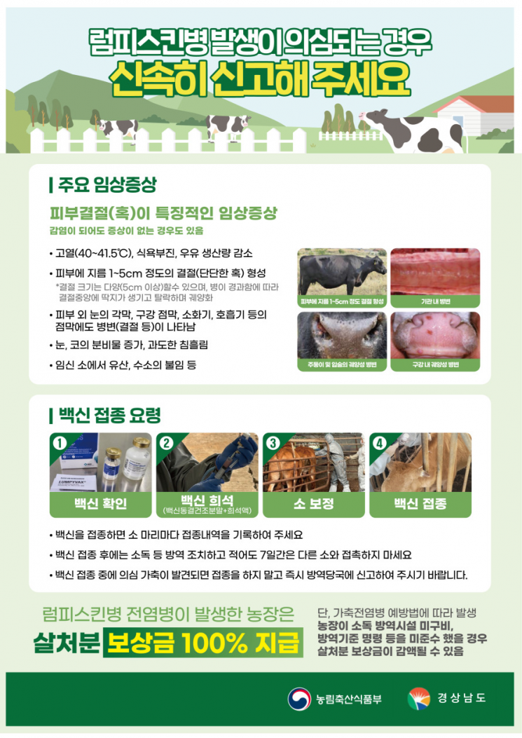 경남도, 럼피스킨병 감염 막아라 … 11월 1일 긴급백신 접종 시작