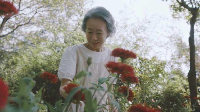 배우 윤여정이 사라지는 꿀벌들을 위해 특별한 식당을 차렸다. [사진제공=그린피스]