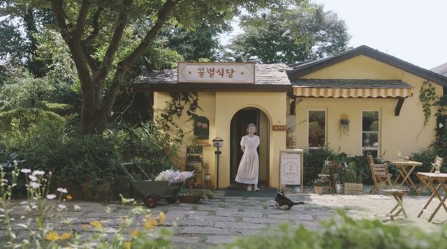 윤여정은 "그린피스에서 출연 제의가 오기 전부터 기후 위기 문제에 관심을 갖고 있었다"며 "이번 영상을 통해 많은 분이 벌과 수분 매개체를 보전하고 기후변화를 해결하기 위한 긴 여정에 힘을 보태주기를 바란다"고 당부했다. [사진제공=그린피스]