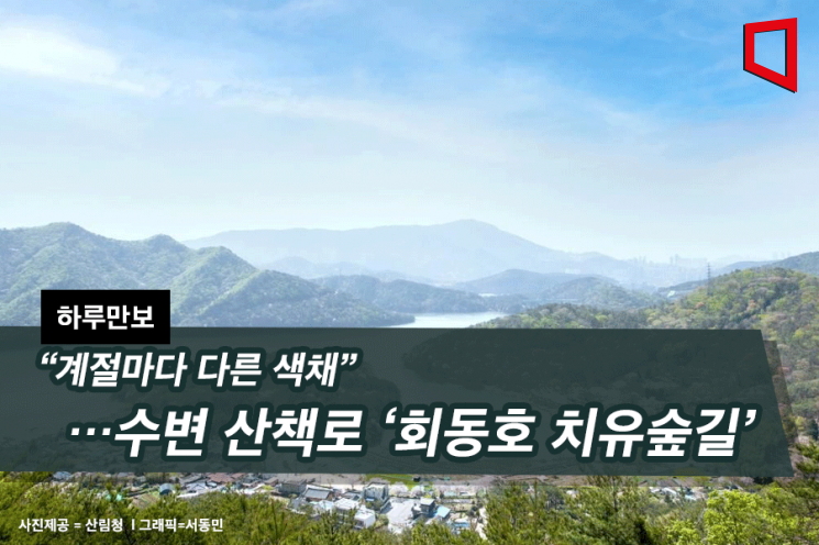 [하루만보] “계절마다 다른 색채”…수변 산책로 ‘회동호 치유숲길’