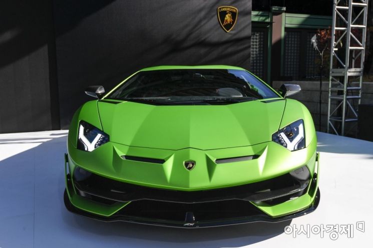 8000만원 넘는 법인차 '연두색 번호판'으로 티나게…"그랜저는 괜찮아"