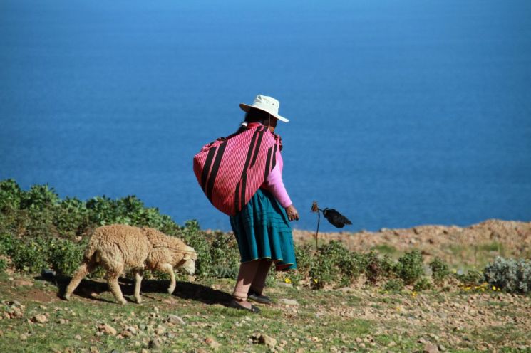"암묵적으로 성폭력 조장"…말 많던 조혼 폐지한 페루