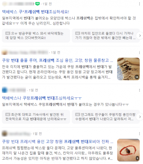 포털사이트에서 '쿠팡 빈대'를 검색하면 나오는 '쿠팡 프레시백 빈대' 목격담들. [사진=네이버 갈무리]