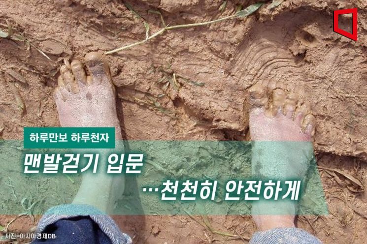 [하루만보 하루천자]맨발걷기 입문…천천히 안전하게