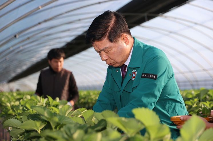 이상근 군수가 농촌일손돕기를 하고 있다.