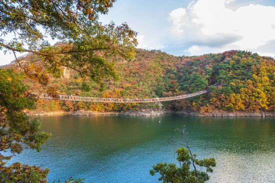 제천 옥순봉 출렁다리[사진제공=교원투어]