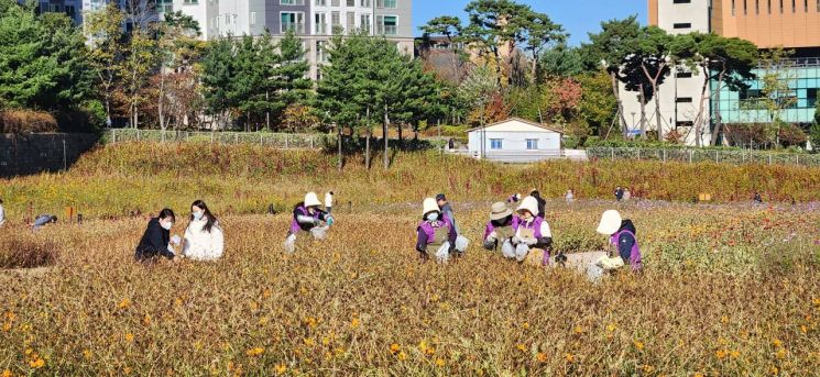 동대문구 전농동 '지식의 꽃밭' 가을 꽃씨 나눔