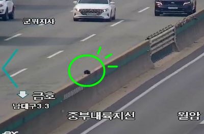 고속도로 중앙분리대 위에 고양이가 앉아 있는 모습 [이미지 출처=경북경찰 공식 페이스북 캡처]
