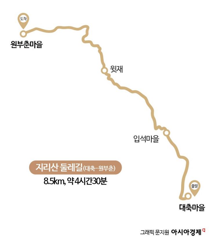 [하루만보]신석기시대 형성된 마을길…서어나무 군락지 따라 걷는다