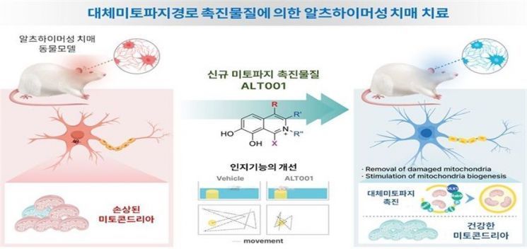 알트메디칼의 'ALT001'의 기전 설명 그림[사진제공=한국보건산업진흥원]