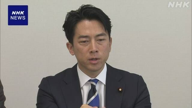 라이드셰어 연구회에서 발언 중인 고이즈미 신지로 전 환경상.(사진출처=NHK)