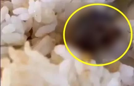 "하다하다 이젠 마라탕에서 박쥐까지 나왔다"…中식품위생 또 논란