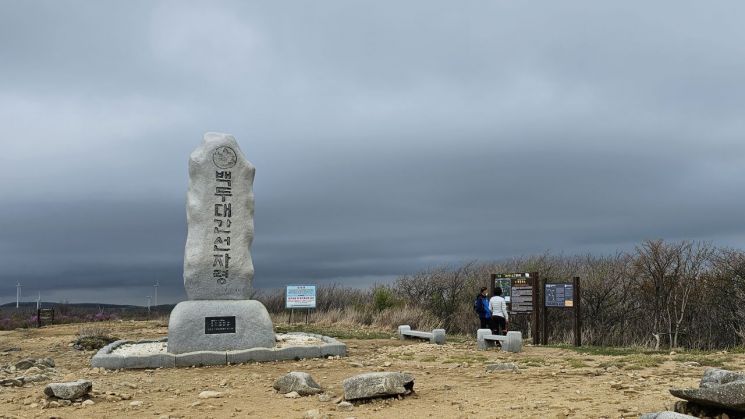 [하루만보] “눈꽃산행의 백미(百媚)”…대관령숲길 ‘선자령 등산로’