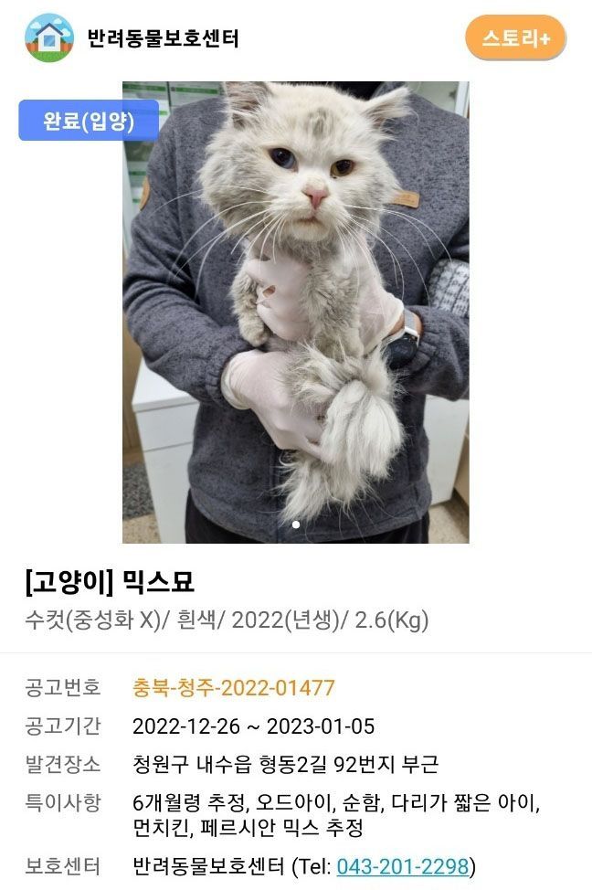 유기동물 입양으로 보조금 4000만원 꿀꺽…동물보호활동가였다