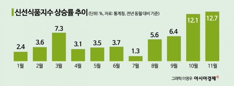 11월 물가상승률 3.3%↑…'장바구니 부담' 여전(종합)