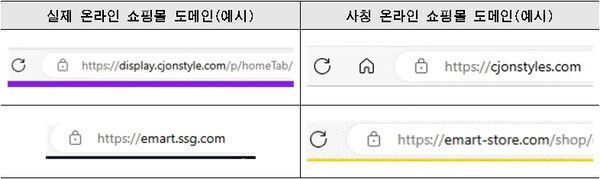 유명 온라인몰의 사업자 정보?이미지?로고 등을 그대로 도용하면서 공식 홈페이지 주소에 ?알파벳 추가(예: 마지막 's’'추가) ?특수문자 삽입(가운데 ‘-’ 삽입) 등 자세히 확인하지 않으면 알 수 없도록 교묘한 사기행각을 벌이고 있다. [사진제공=서울시 전자상거래센터]