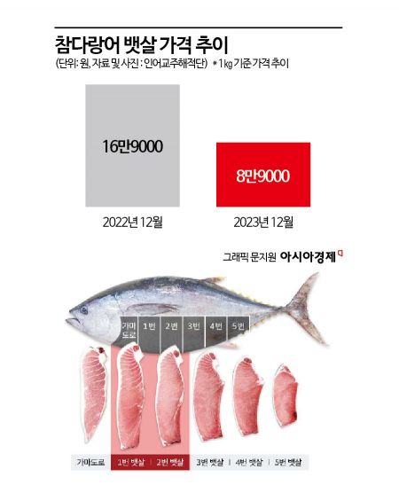 "연말엔 통뱃살 참치회·초밥 파티"…참다랑어값 '반토막' 