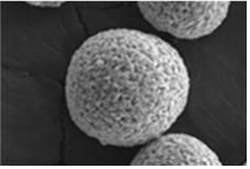 하이니켈 양극재