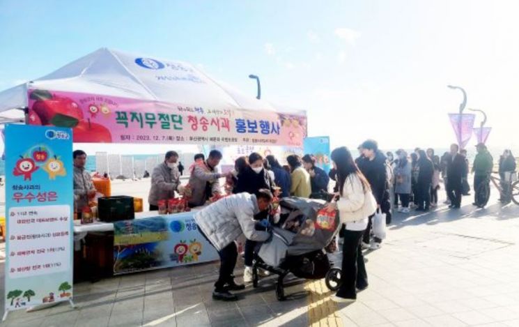 7일 부산시 해운대에서 청송사과 홍보·시식 행사를 개최한 청송군.