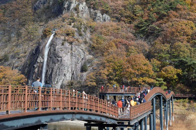 담양군, 문화 담은 풍성한 콘텐츠 1500만 관광객 찾아