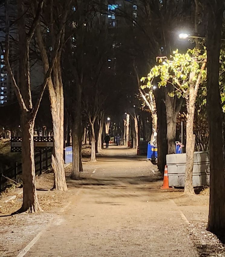 도봉구 중랑천 제방길 늦은 밤 걸어도 안전