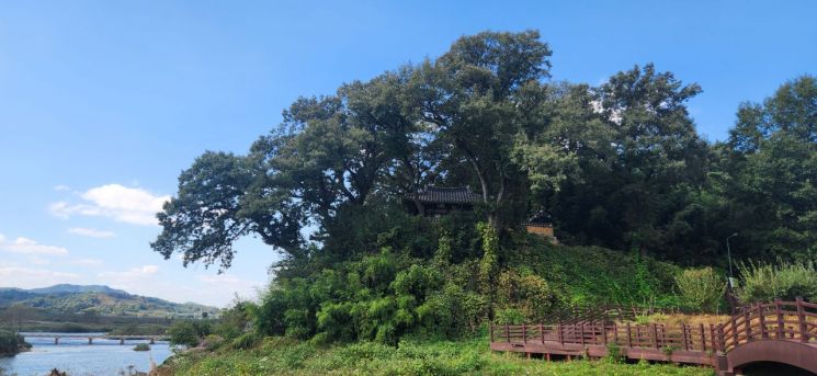 포항 금광동층 신생대 화석산지 천연기념물 지정