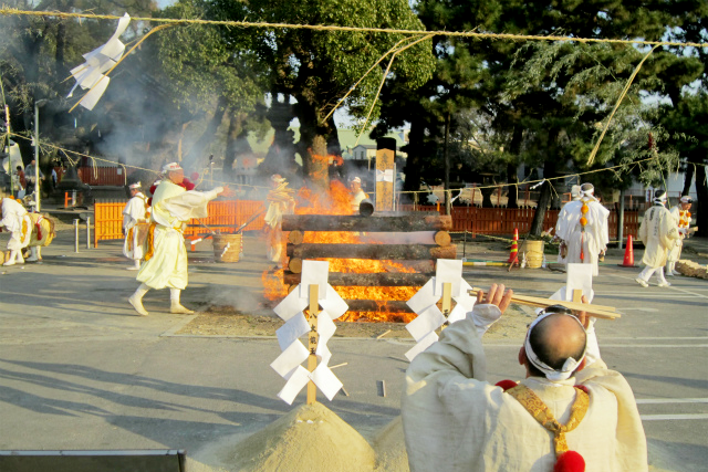 日 새해 첫날 필수코스 '하츠모데'…올해의 명소는