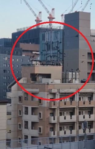지진이 일어나기 전 일본 한 빌딩에 몰려든 까마귀 떼 [이미지출처=엑스(X) 캡처]