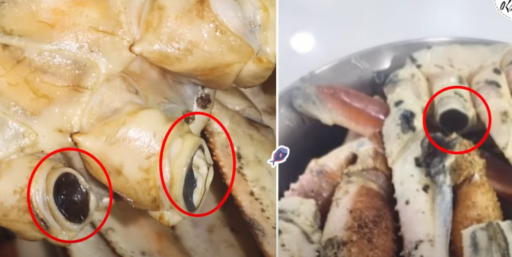 对于这张照片，Kim某表示：“与其说整根帝王蟹腿都是黑的，不如说是裂缝处、与外界空气接触的部分以及关节部位发黑。它们的共同点是都有氧气进出、接触氧气的部位。简单来说，这是氧化的痕迹。”他接着解释说：“这被称为黑变现象，在大量食用帝王蟹的日本，也曾一度引发很大争议，后来误会才得以消除。” [图片出处=YouTube频道 ‘忆起垂钓’ 供图]