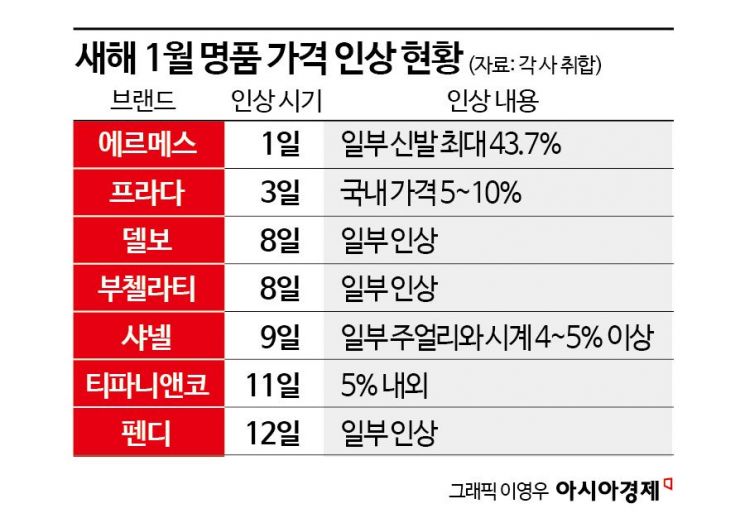 또 오르니 사서 쟁여 놓는데 헛다리?…새해벽두부터 명품 '오픈런'