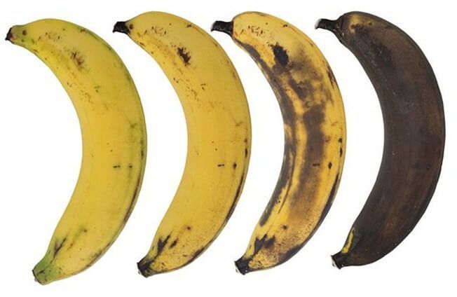 "바나나 검게 변해도 먹듯이…썩은 대게는 색이 변한 대게"